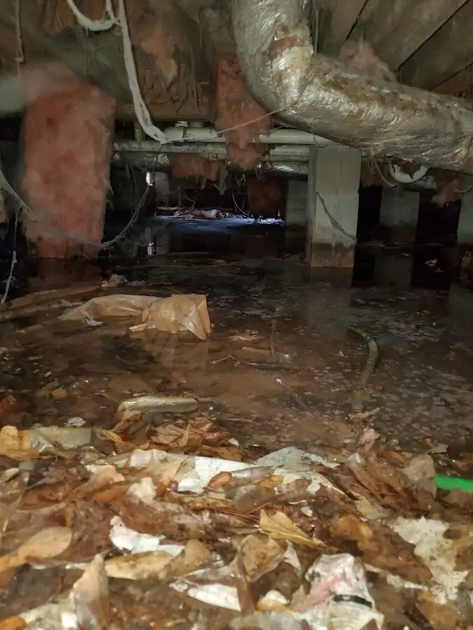 Crawl space flood assessment for Commercial Water Damage Restoration in Dundee