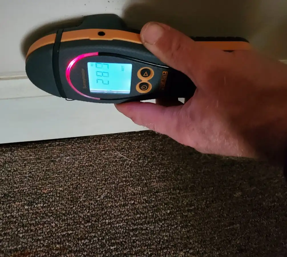 Moisture detection at baseboard during Sewage Cleanup & Sanitation in Dundee